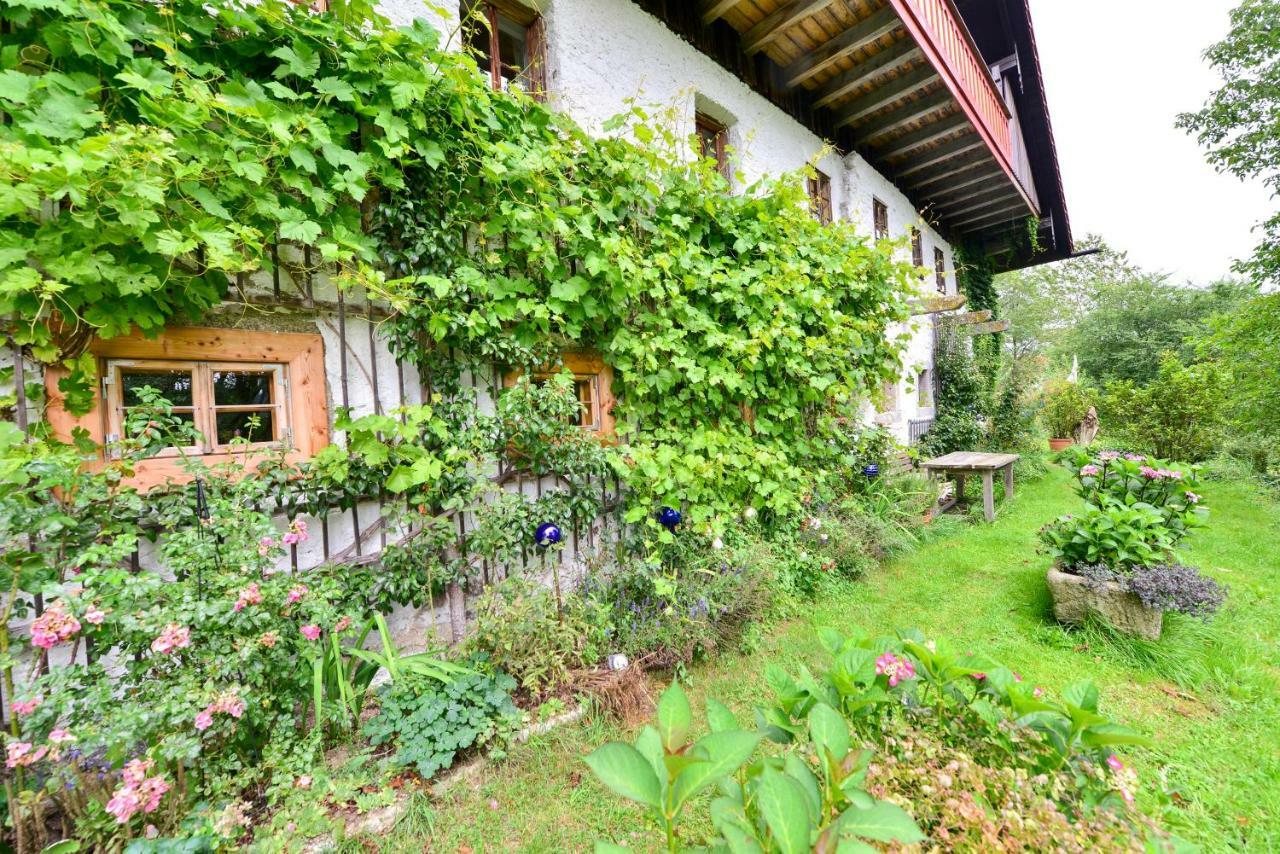 Hofatelier Menacher Neureichenau Exteriör bild