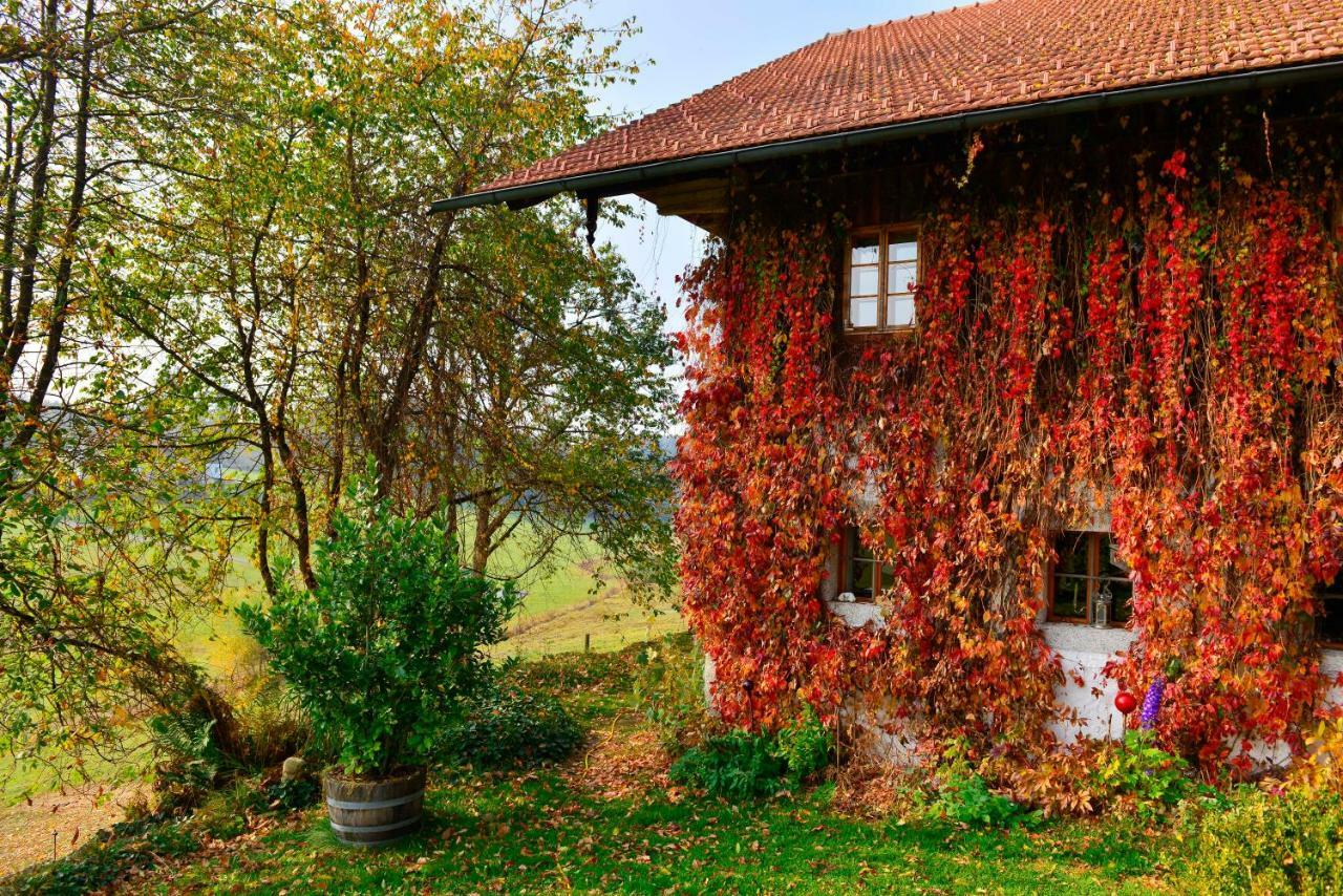 Hofatelier Menacher Neureichenau Exteriör bild